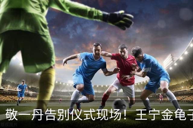 敬一丹告别仪式现场！王宁金龟子现身送别，多位主持人忍不住哭泣