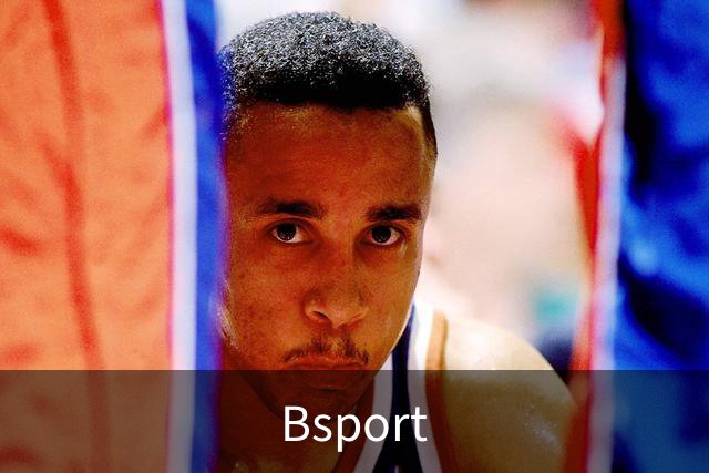 关于Bsport